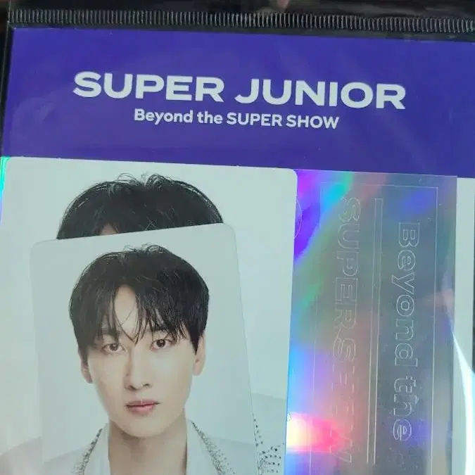 슈퍼주니어 디앤이 은혁 동해 포스터 슈퍼쇼 굿즈