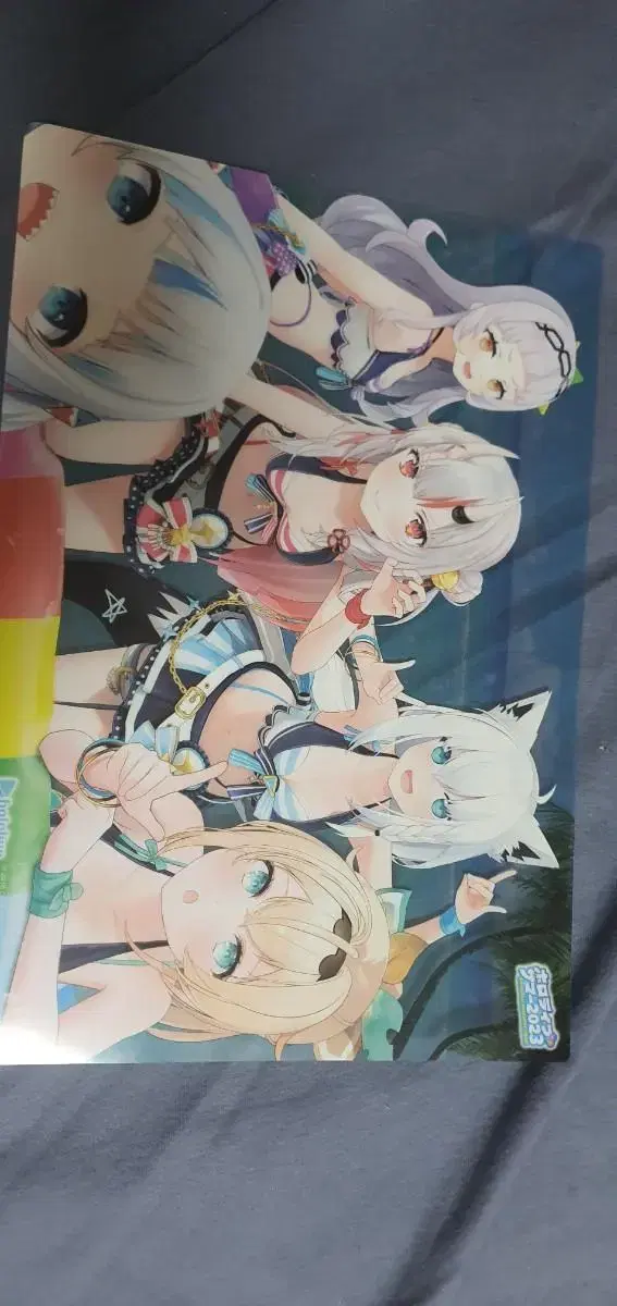 Until today) HoloLive Summer A4 Clear Poster