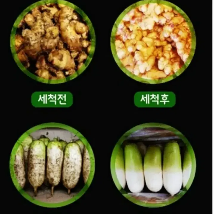 농산물세척기 구근류세척기(새제품배송)