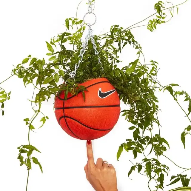 NIKE BASKETBALL PLANTER - Original Rose