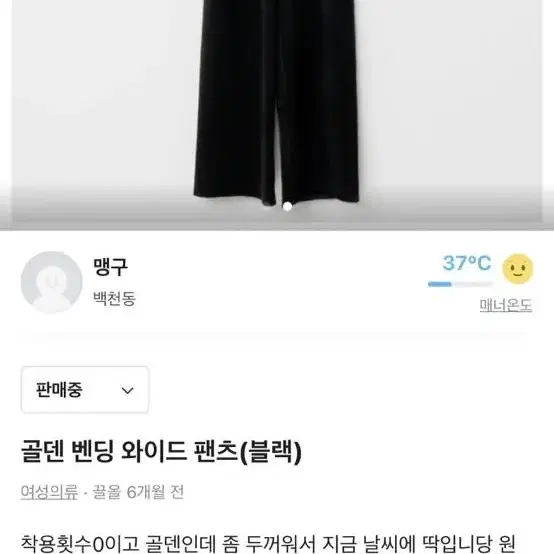 골지와이드