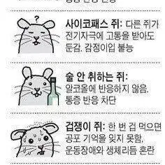 거래용 게시글