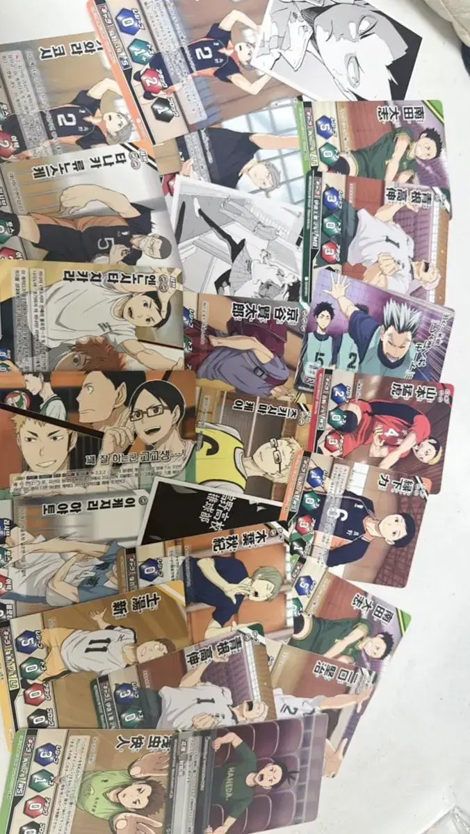 Disposition Purpose haikyuu Barbacca in bulk