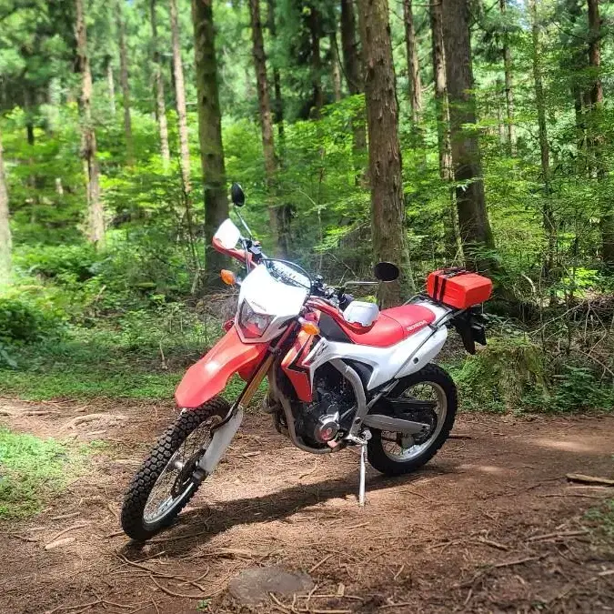 HONDA CRF250L