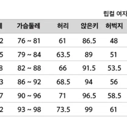 립컬 플래시밤 히트시커 웻슈트 여성 6 체스트집