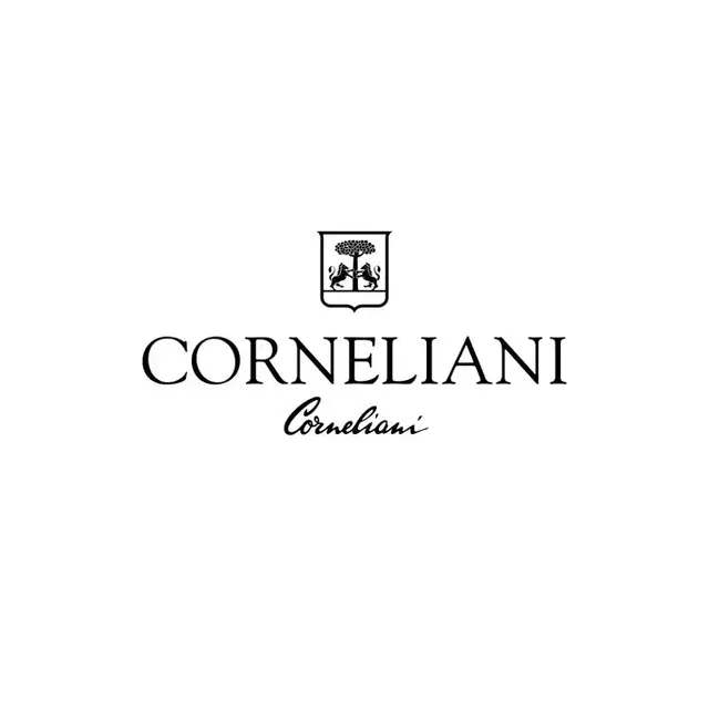 꼬르넬리아니 [Corneliani] 블랙 트렌디 후드 패딩 코트