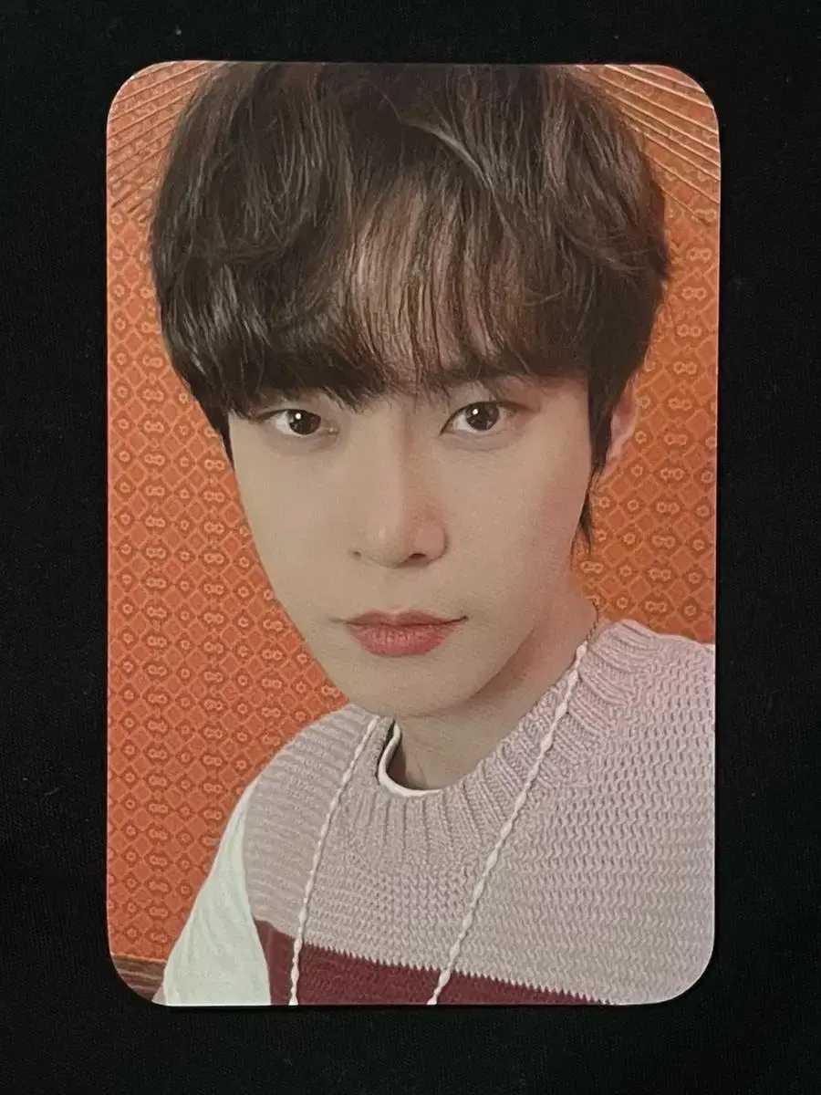 NCT 127 Retro House doyoung photocard wts.