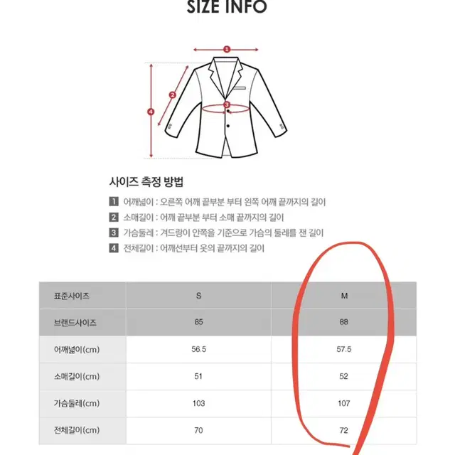 클라비스 셔츠형 벨트 경량패딩