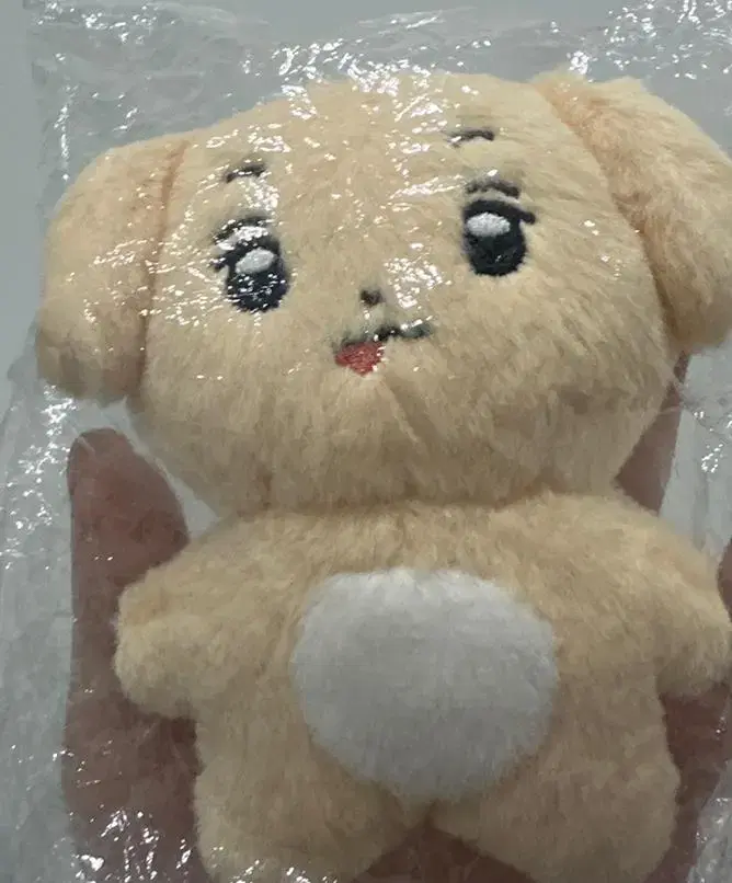 Kum Junhyeon doll kumjeolmi