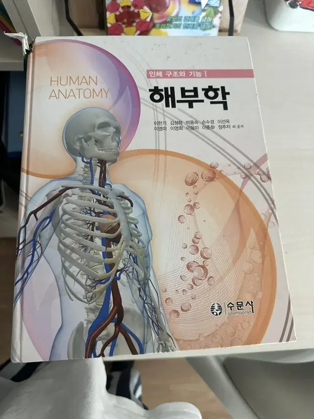 물리치료학