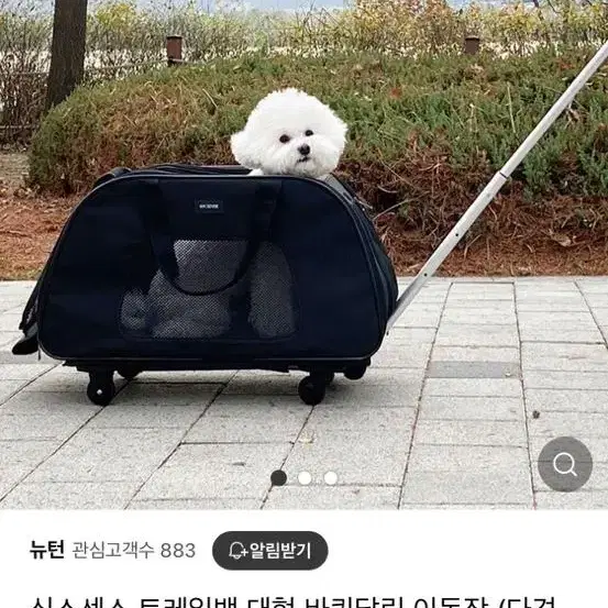 강아지 이동장 가지러오시면 무료나눔!