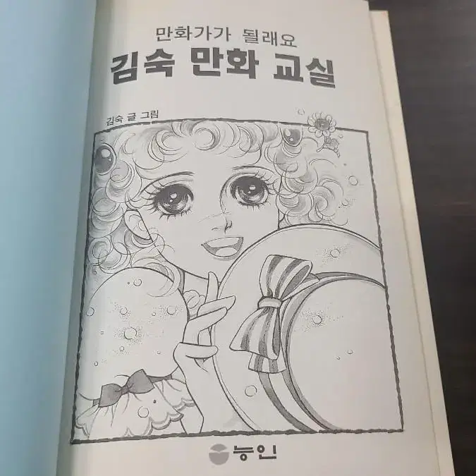 순정만화가 김숙 만화교실