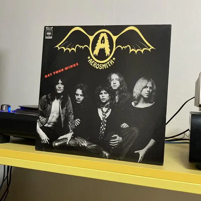 [Rock] Aerosmith (에어로스미스) LP 판매해요