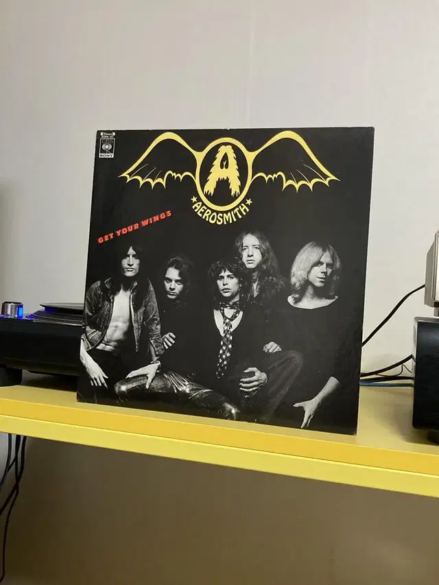 [Rock] Aerosmith (에어로스미스) LP 판매해요