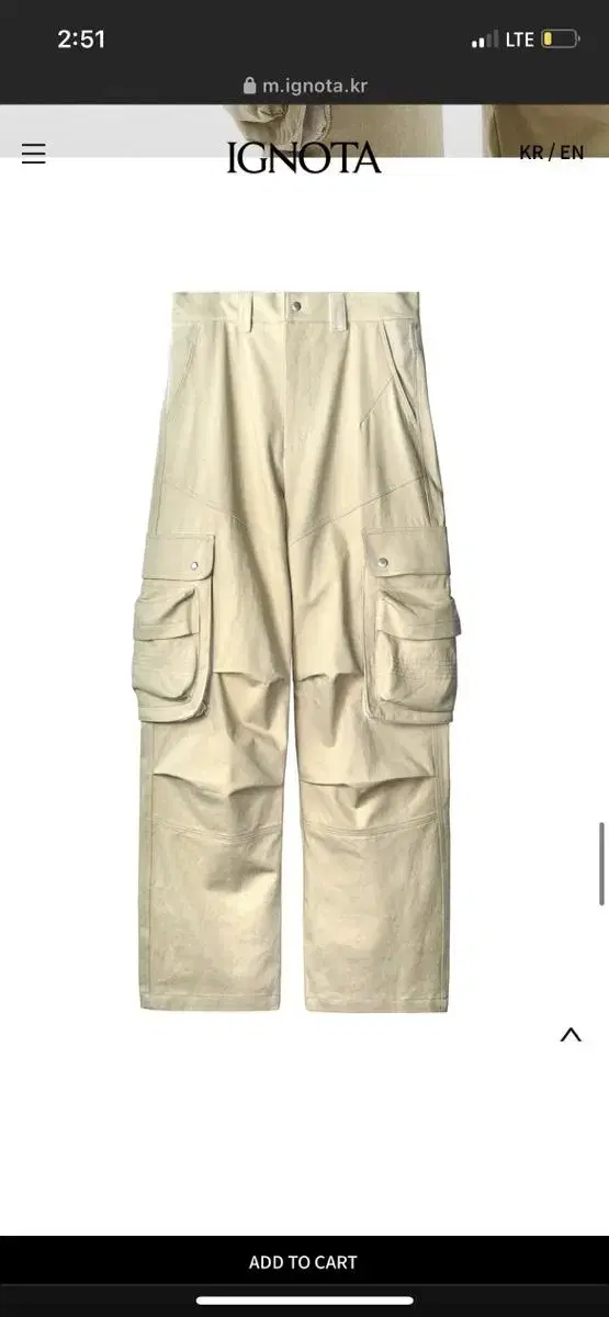 Ignota CORE:6 PANEL CARGO PANTS