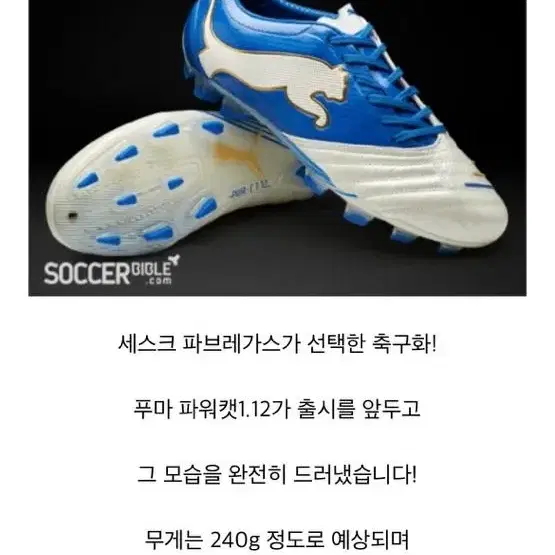 퓨마 축구화 (염기훈 싸인) 정가 26만원