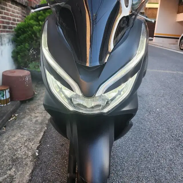 pcx 19년식