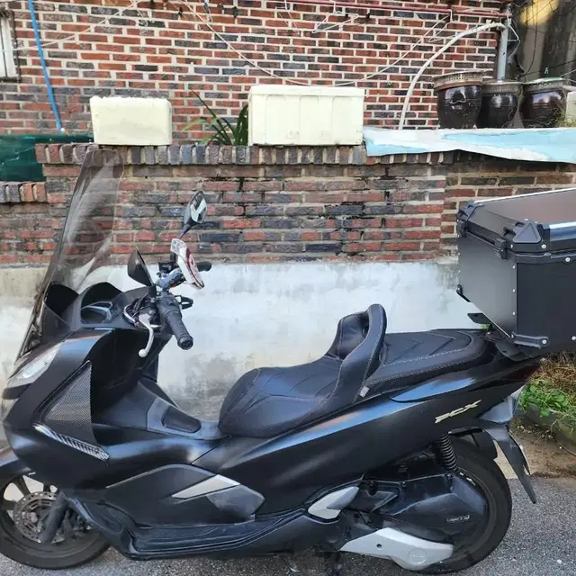 pcx 19년식