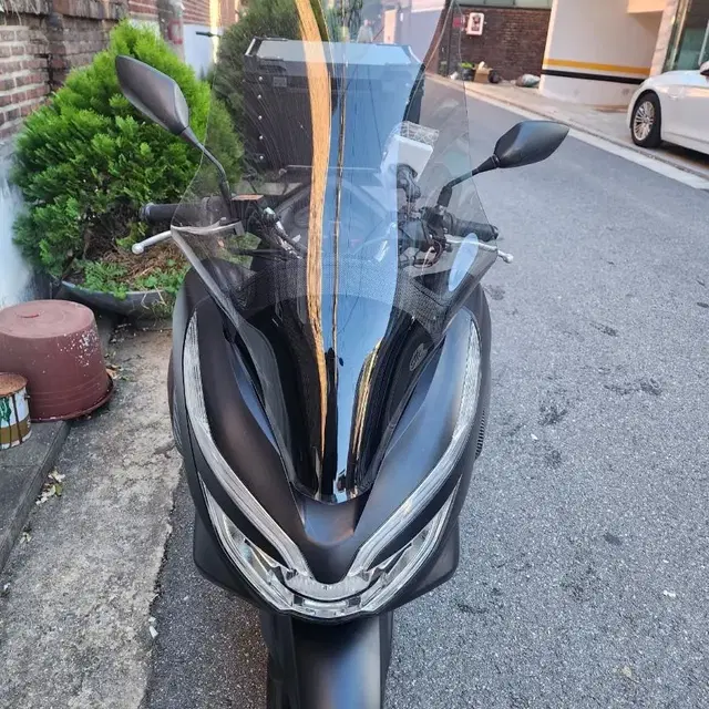 pcx 19년식