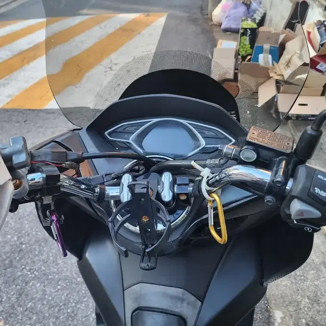 pcx 19년식