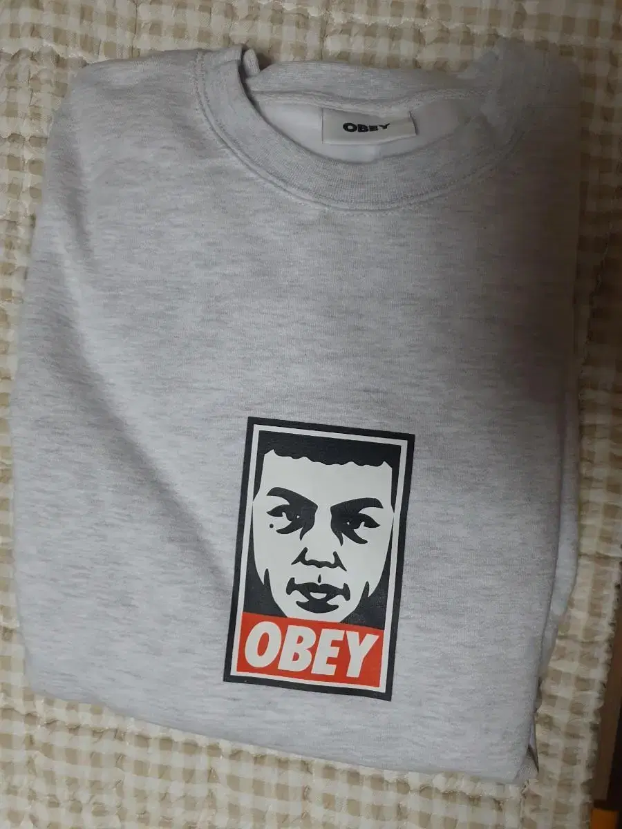 IAPP Obey Crewneck Ash Gray XL