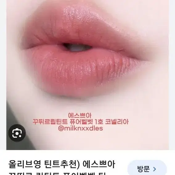 에스쁘아 코넬리아