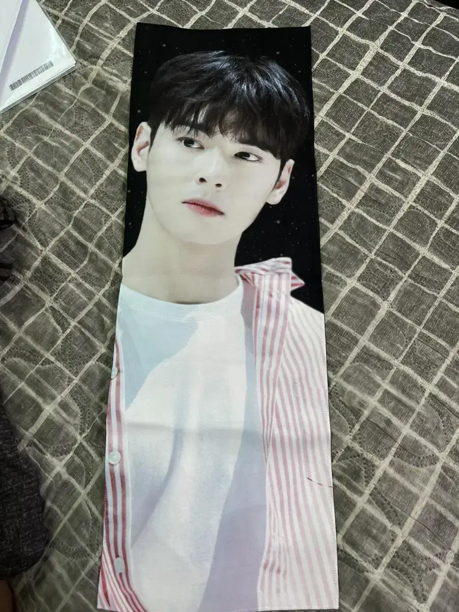 Cha Eunwoo unofficial goods slogan