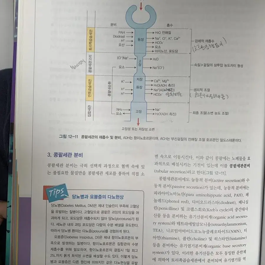 생리학 5판 학지사메디컬