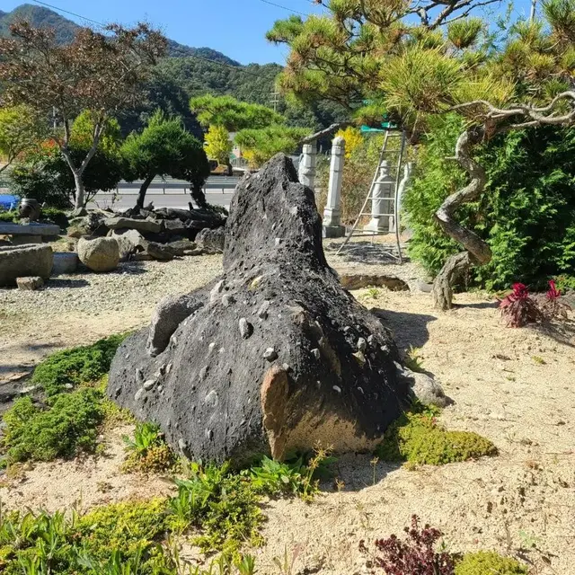 거북이돌 조경석팝니다