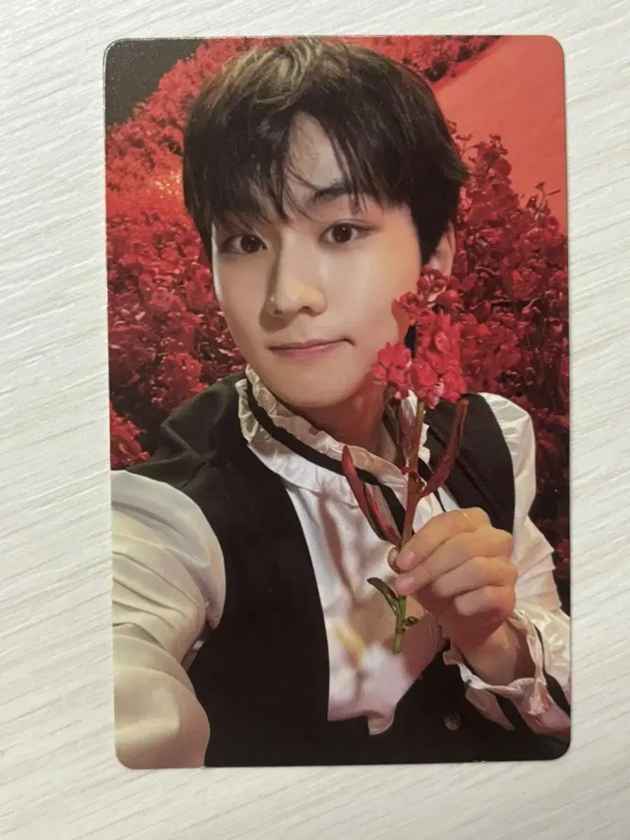 Jungwon photocard