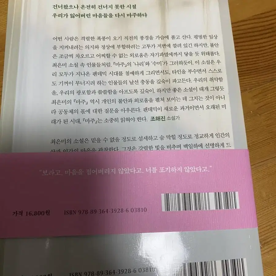 최은미 마주 소설