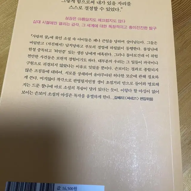 손보미 사랑의 꿈 소설