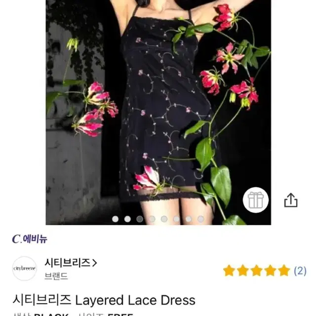 시티브리즈 Layered Lace Dress