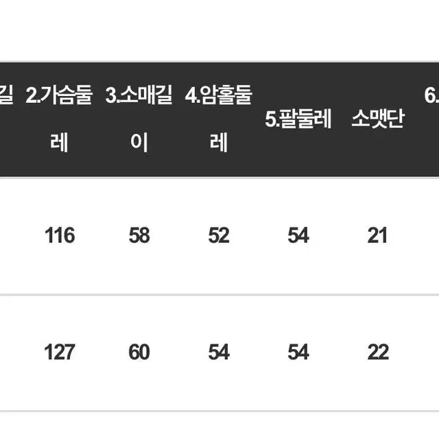 리치무드 빅사이즈 블라우스 (새거/99-100사이즈)