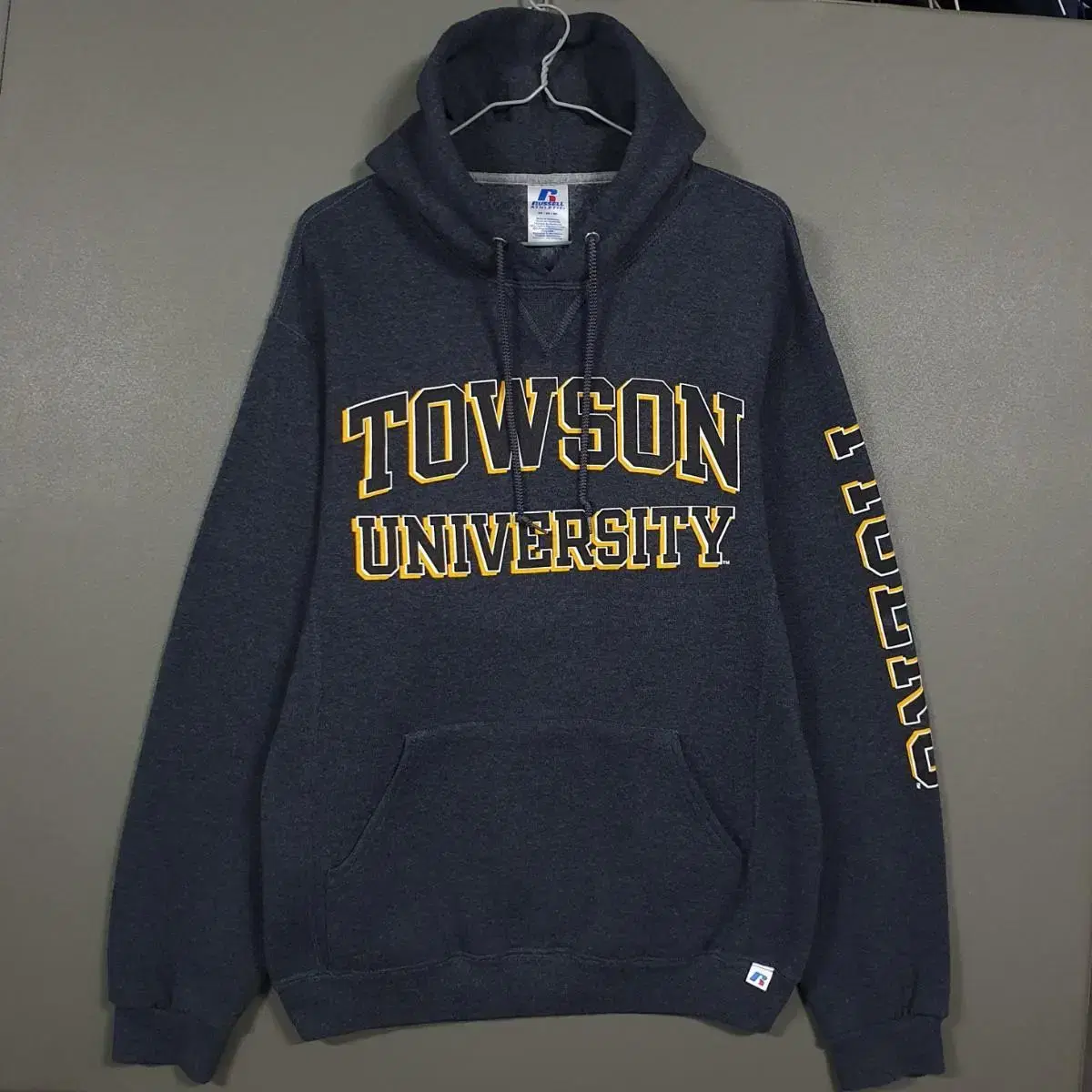 95 (M) Russell Athletic 90s Tiger Hoodie Sweatshirt Hoodie (Rare)