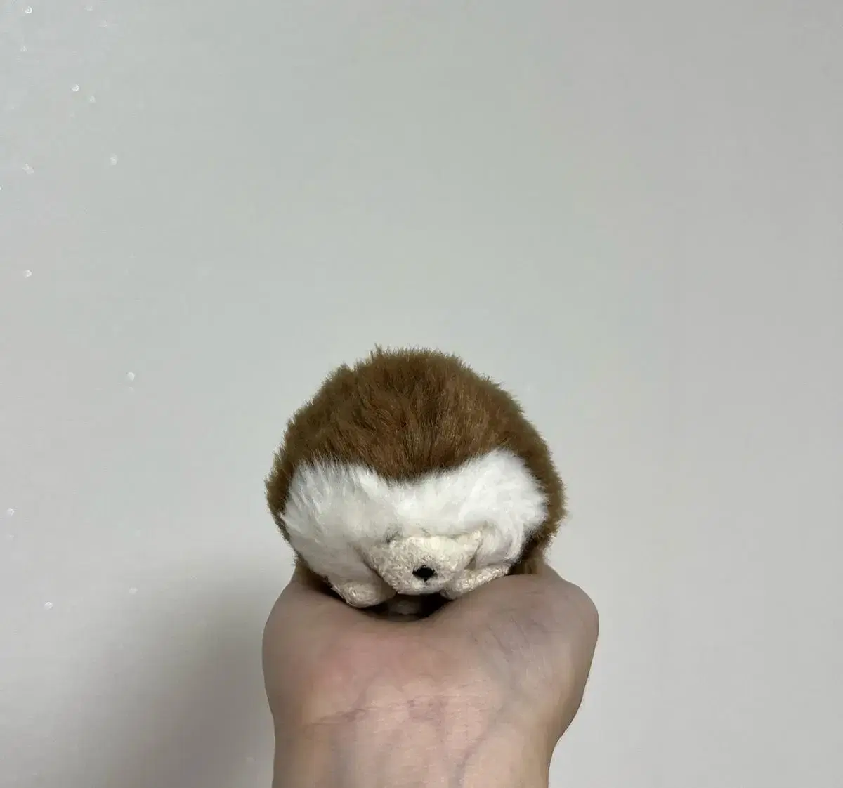 Gund Hedgehog Doll