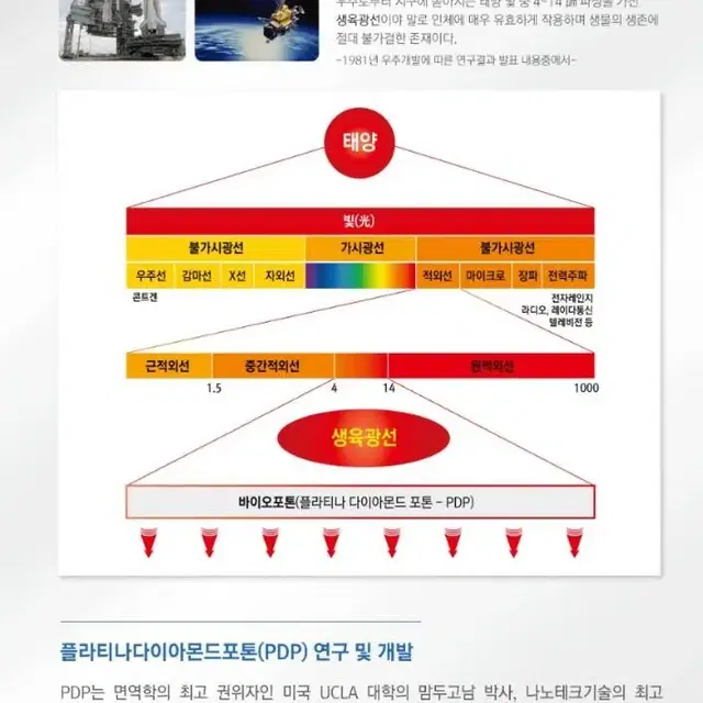 바이오포톤이저