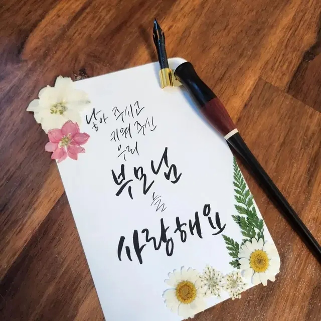 캘리그라피 압화 엽서