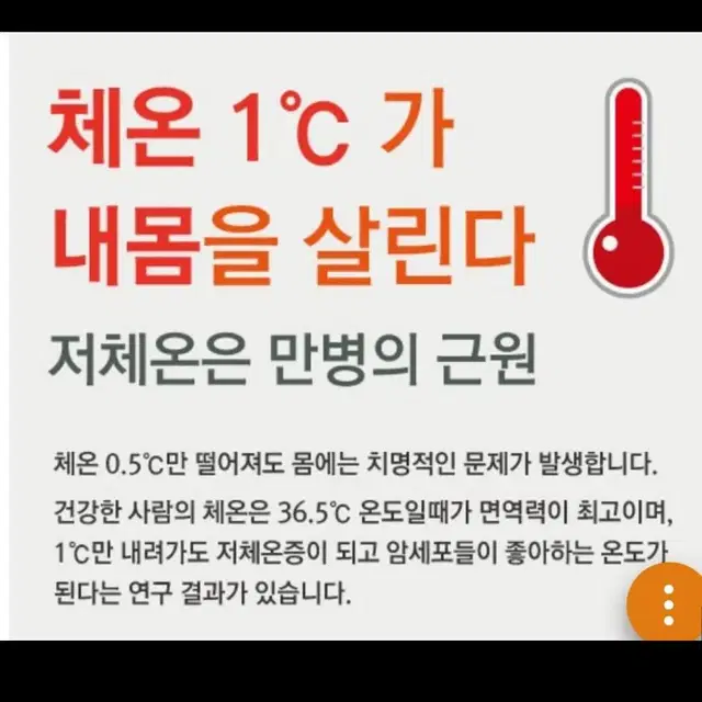 바이오포톤에어써모(드라이기)