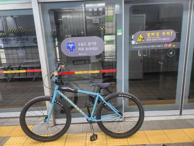 페어데일 크루징bmx 픽시대차