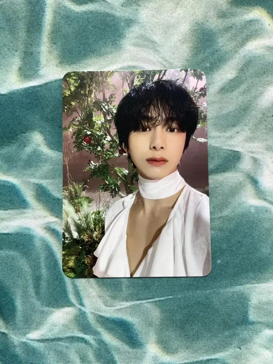 Monsta X hyungwon Norimikon Photocard