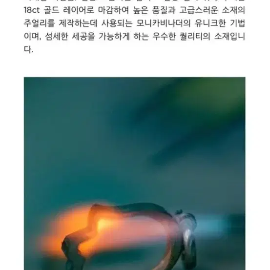 모니키비나더 파인체인