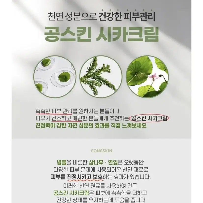 공스킨 비타민 시카 크림 150ml x2 피부진정 주름개선 피부회복