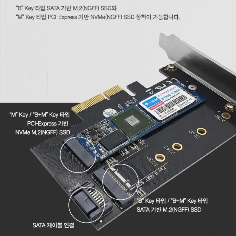 랜스타 M.2 SATA&NVMe NGFF PCIe SSD변환 어댑터 카드