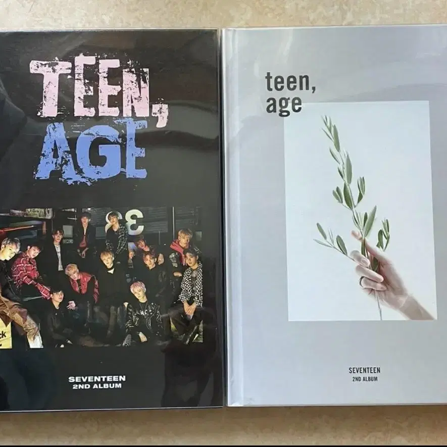 세븐틴 개봉앨범 판매 an ode teen age