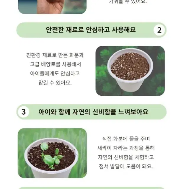 마이팜 식물키우기 6종 새상품