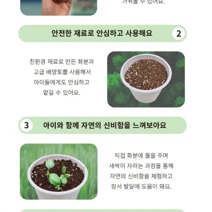 마이팜 식물키우기 6종 새상품