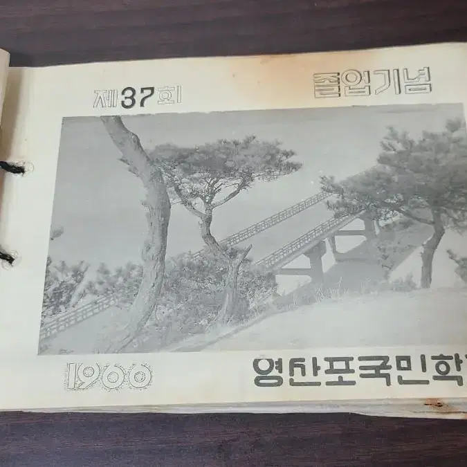 1966년 37회 전남 영산포 국민학교 졸업앨범