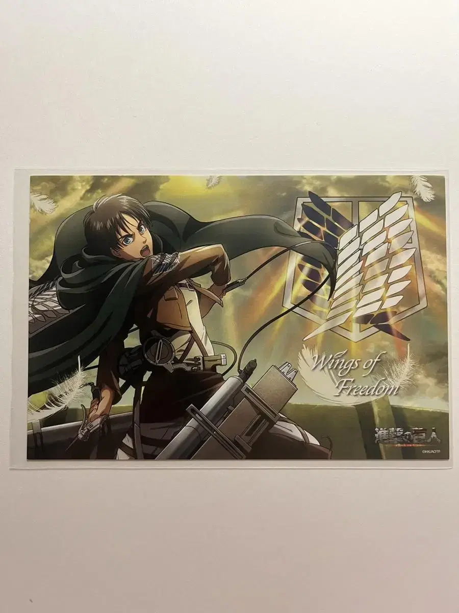 Attack on Titan Eren Postcard