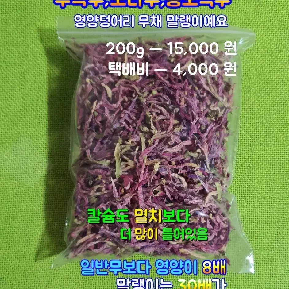 프로월드컵 자켓